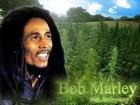 Picture for song 'Feel the music ( Free Download )' by artist 'Bruce Bruce Productions'