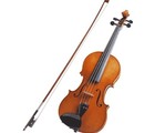 Picture for song 'La Sirene Au Violon' by artist 'BRUNO DURAND'