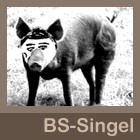 Picture for song 'Skitunge!' by artist 'Bubba Shepherd'