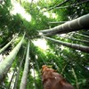 Picture for song 'Gaia -01' by artist 'Cambridge 2003'