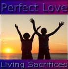 Picture for song 'Living Sacrifices' by artist 'Cam7Song'