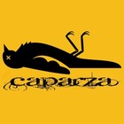 Picture for song 'Shave it off and Weigh it' by artist 'Caparza'