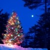 Picture for song 'Nadal - Christmas' by artist 'Carles Reig'