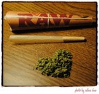 Picture for song 'RawPaperz' by artist 'casey young'