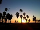 Picture for song 'California SC' by artist 'C.C.M.G. (Capital City Money Gang)'