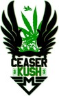 Picture for song 'TOMORROW' by artist 'CEASER KUSH'