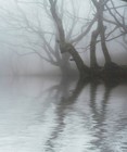 Picture for song 'Beyond The Mist' by artist 'Celtic Chill'