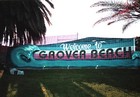 Picture for song 'Not Dealing With Issues' by artist 'CENTRAL COAST LIVIN'