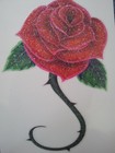 Picture for song 'the first rose' by artist 'chadalexanderproductions'