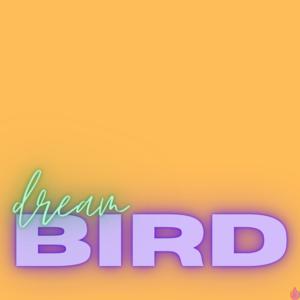 Song picture