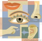 Picture for song 'Senses Tingling' by artist 'Chase D'