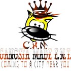 Picture for song 'Gangsta Made E.N.T.' by artist 'C.H.N.(Gangsta Made E.N.T.)'