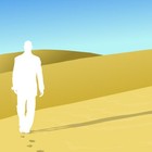 Picture for song 'Forever Walk - Bikini Skandal' by artist 'Chris Cano and Friends'