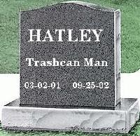 Picture for song 'Trashcan Man' by artist 'CHRIS HATLEY'