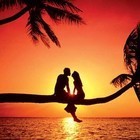 Picture for song 'Summer Love | FREE DL | (NINE x MECCA)' by artist 'CHRiS MECCA'