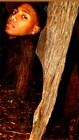 Picture for song 'I Will Love You' by artist 'Chris Sheppard'