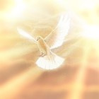 Picture for song 'Holy Messenger Of God' by artist 'Christian Voltaire'