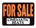 Picture for song 'This Whole Time' by artist 'Cinematic Beats'