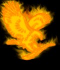 Picture for song 'phoenix' by artist 'cold recordz'