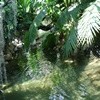 Picture for song 'jamaican fun' by artist 'Cosmic Sector 5'