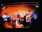 Picture for song 'Shotgun (with Mississippi Sax)' by artist 'CottonMouth'