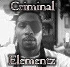 Picture for song 'shades of mist' by artist 'Criminal Elementz Productionz'