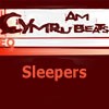 Picture for song 'Sleepers' by artist 'Cymru am Beats'
