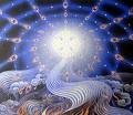 Picture for song 'lightSEED' by artist 'dangerous youth'