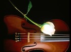 Picture for song 'Beautiful' by artist 'Danny Bowman'