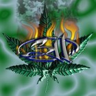 Picture for song 'Darkyout DUB Mix Up ....' by artist 'Darkyout'