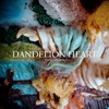 Picture for song 'Dandelion Heart' by artist 'David Gamboa'