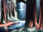 Picture for song 'velvet forest' by artist 'dennis solinger'