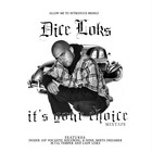 Picture for song 'Mr. Loks' by artist 'DiceLoks'
