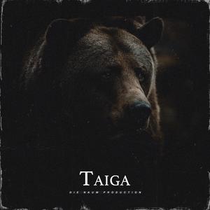 Picture for song 'TAIGA (Dark Underground Beat X Boom Bap 90s)' by artist 'Die Naum Production'