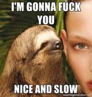 Picture for song 'FUX U NICE AND SLOW' by artist 'DISKO ON THA KEYZ'