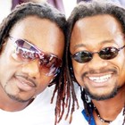 Picture for song 'Ma Suele Folie on Crack' by artist 'Dj Frede Fresh H-Drive'