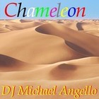 Picture for song 'Chameleon Original Instrumental' by artist 'DJ Michael Angello'
