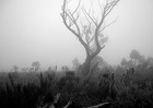 Picture for song 'Nitrous - tragedy (Nusense remix)' by artist 'DJ Nu Sense'