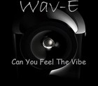 Picture for song 'Wav-E - Can You Feel The Vibe' by artist 'Branko Stojanovski'