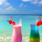 Picture for song 'SummerTime Bliss' by artist 'DJ Ricebowl'
