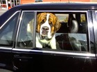 Picture for song '*Free Download* Ride (Club Instrumental)' by artist 'Dj Roundsky'