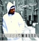 Picture for song 'Supastar! 2009' by artist 'DJ Triple Threat'