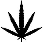 Picture for song 'Touch me' by artist 'DKronik1'