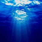 Picture for song 'Deep Blue' by artist 'Dollar Bill and the Unmentionables'