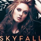 Picture for song '*ADELE* Skyfall (BUY1 GET3)' by artist 'Don Artur'