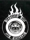 Picture for song 'Last Chance For Goodbye' by artist 'DragStrip Riot'