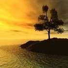 Picture for song 'ALONE - BUT NOT ALONE' by artist 'Dr. Bob's Jazz - Benefit Boppin' Quartet - JBBQ'