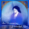 Picture for song 'Beautiful Lost Thing' by artist 'Dreaming'
