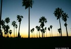 Picture for song 'Westcoast Intro- Drupz' by artist 'Drupz'