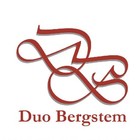 Picture for song 'The desire for hermitage.mp3' by artist 'Duo Bergstem'